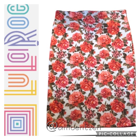 LuLaRoe Dresses & Skirts - 🌺 Lularoe flowered Cassie skirt size M